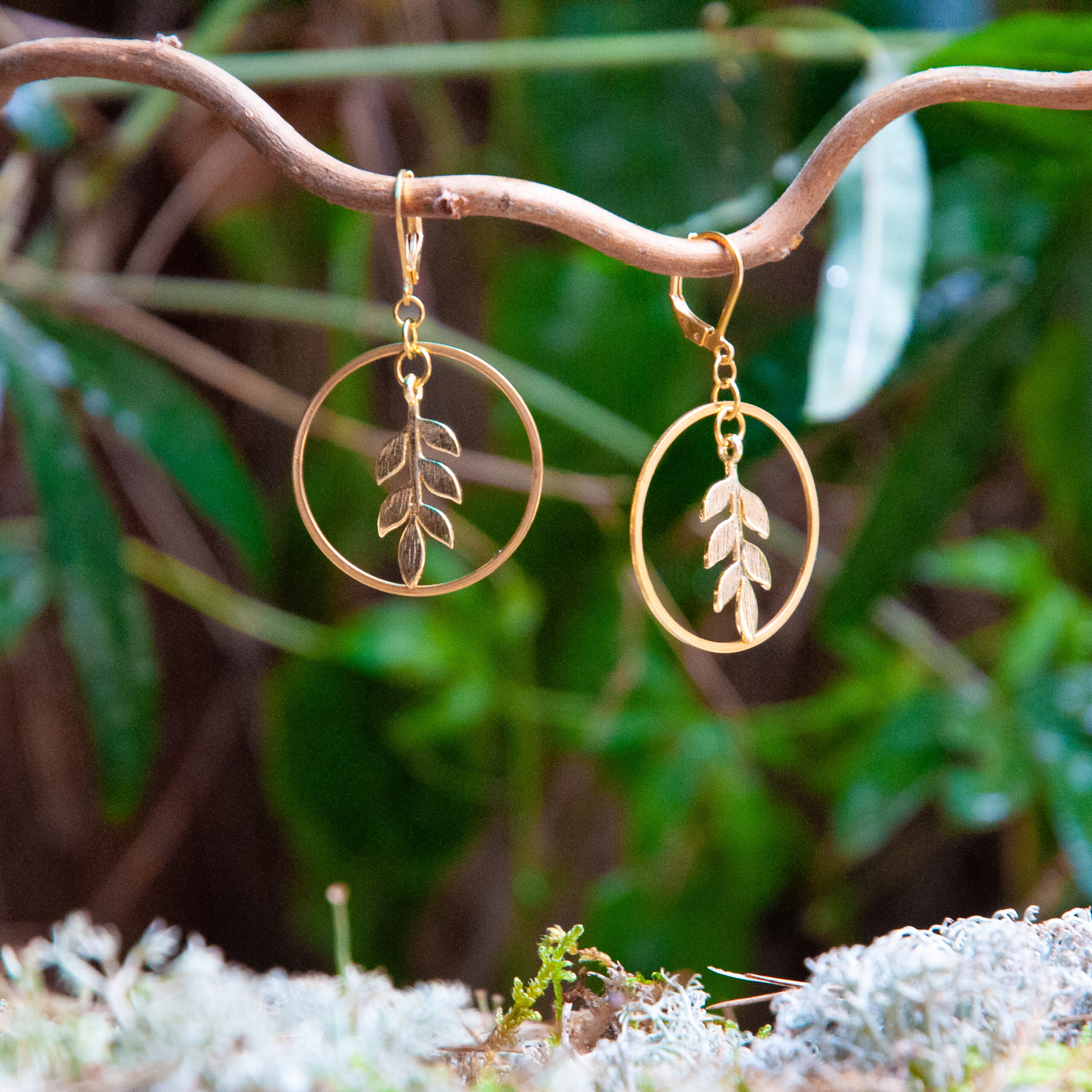 créoles à petites feuilles