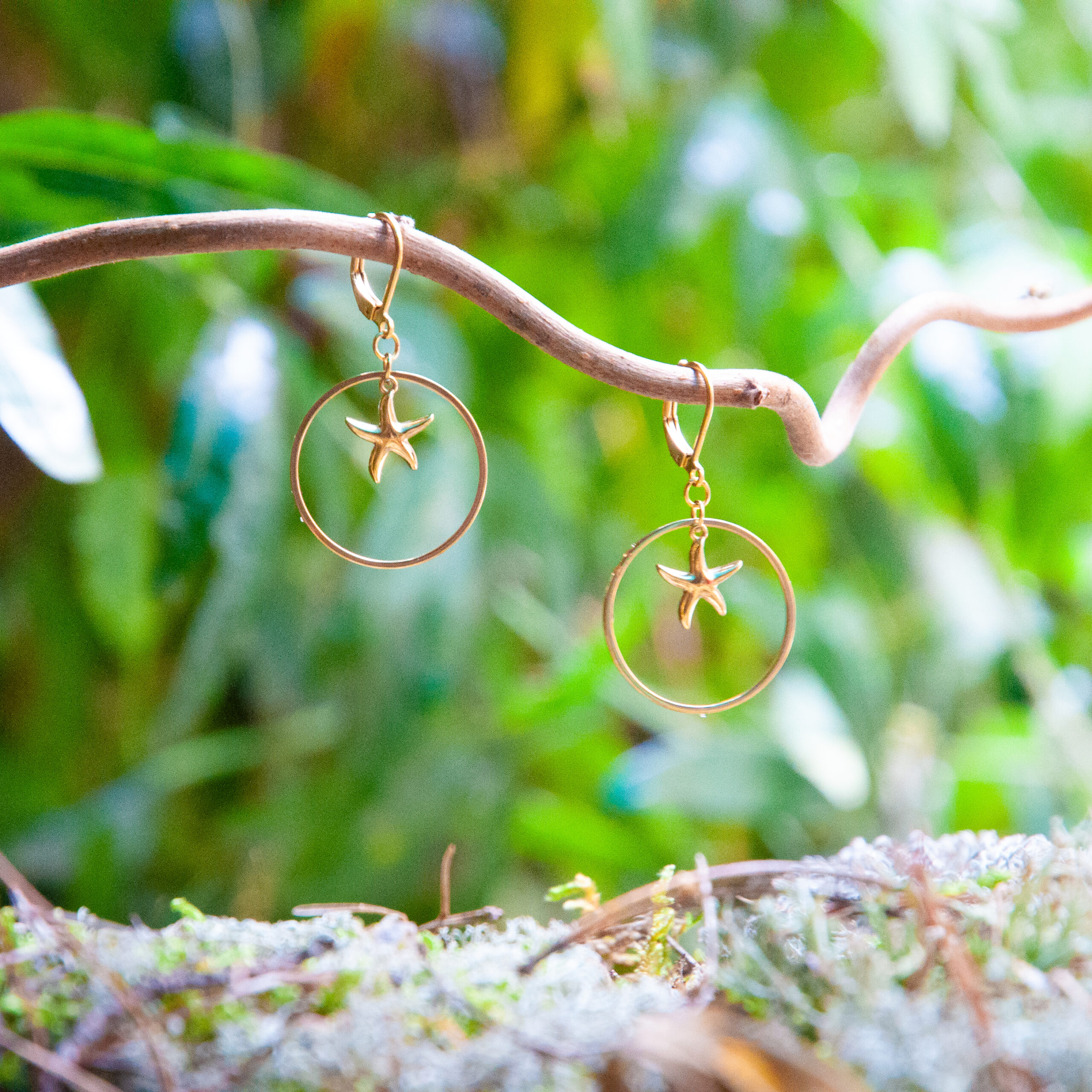 Créoles étoiles dorées